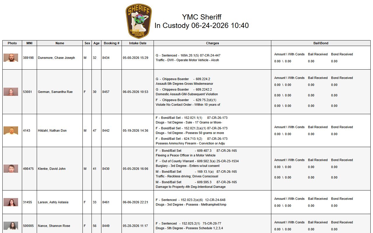 Yellow Medicine County in-custody report